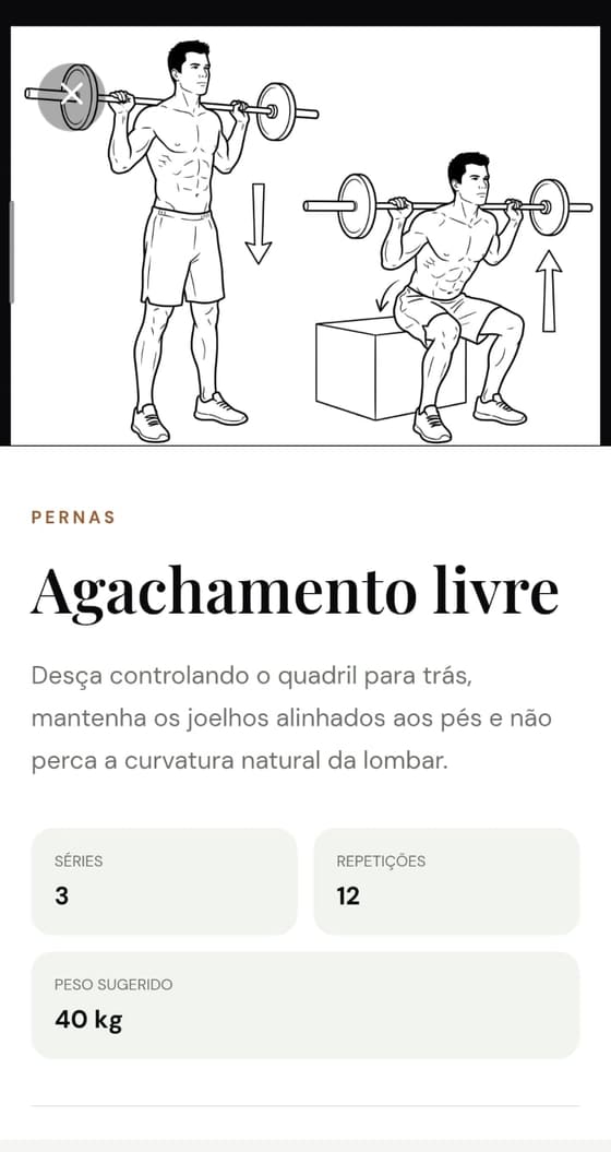 Biblioteca de exercícios com séries, repetições e peso sugerido